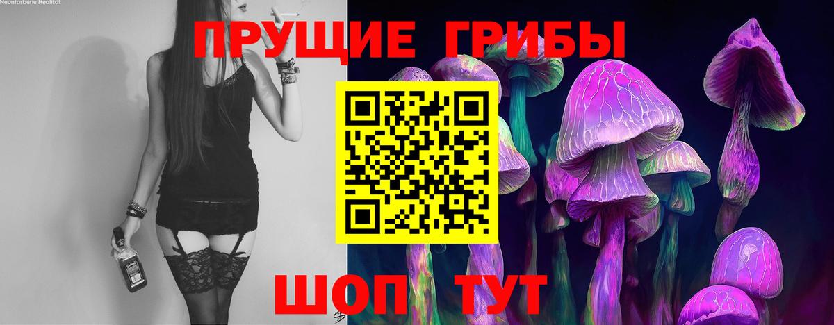 Галлюциногенные грибы прущие грибы Томск